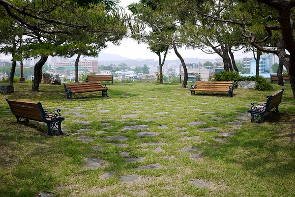 대면