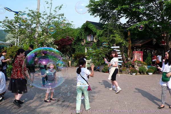 시선